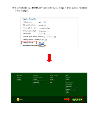 12. O campo Exibir logo BRASIL serve para exibir ou não a logo do Brasil que fica no rodapé
ao final da página.
 