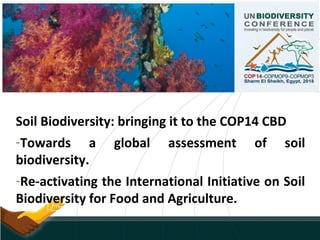 Soil Biodiversity: bringing it to the COP14 CBD
-Towards a global assessment of soil
biodiversity.
-Re-activating the International Initiative on Soil
Biodiversity for Food and Agriculture.
 