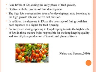Pas Process 1. Role of polyamines in Flowering and Fruit ripening | PPT