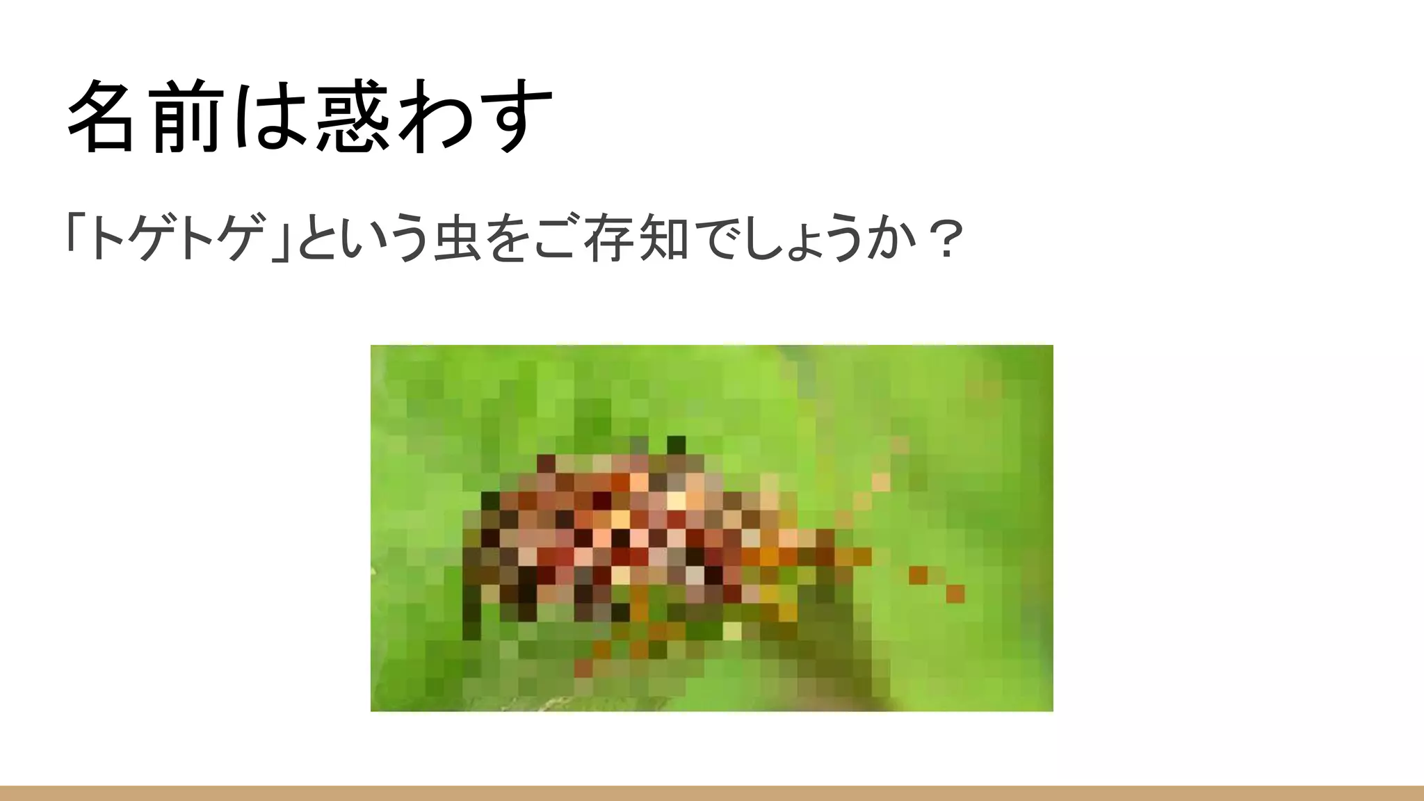 名前は惑わす
「トゲトゲ」という虫をご存知でしょうか？
 