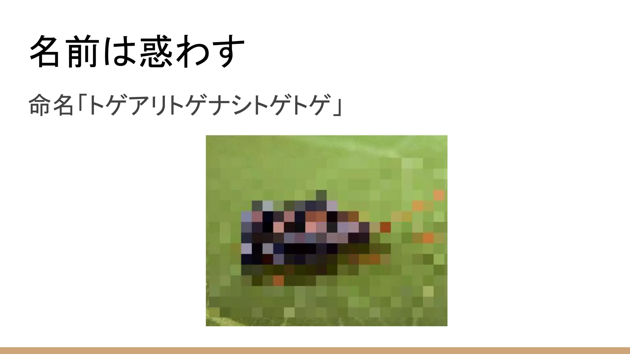 名前は惑わす
命名「トゲアリトゲナシトゲトゲ」
 