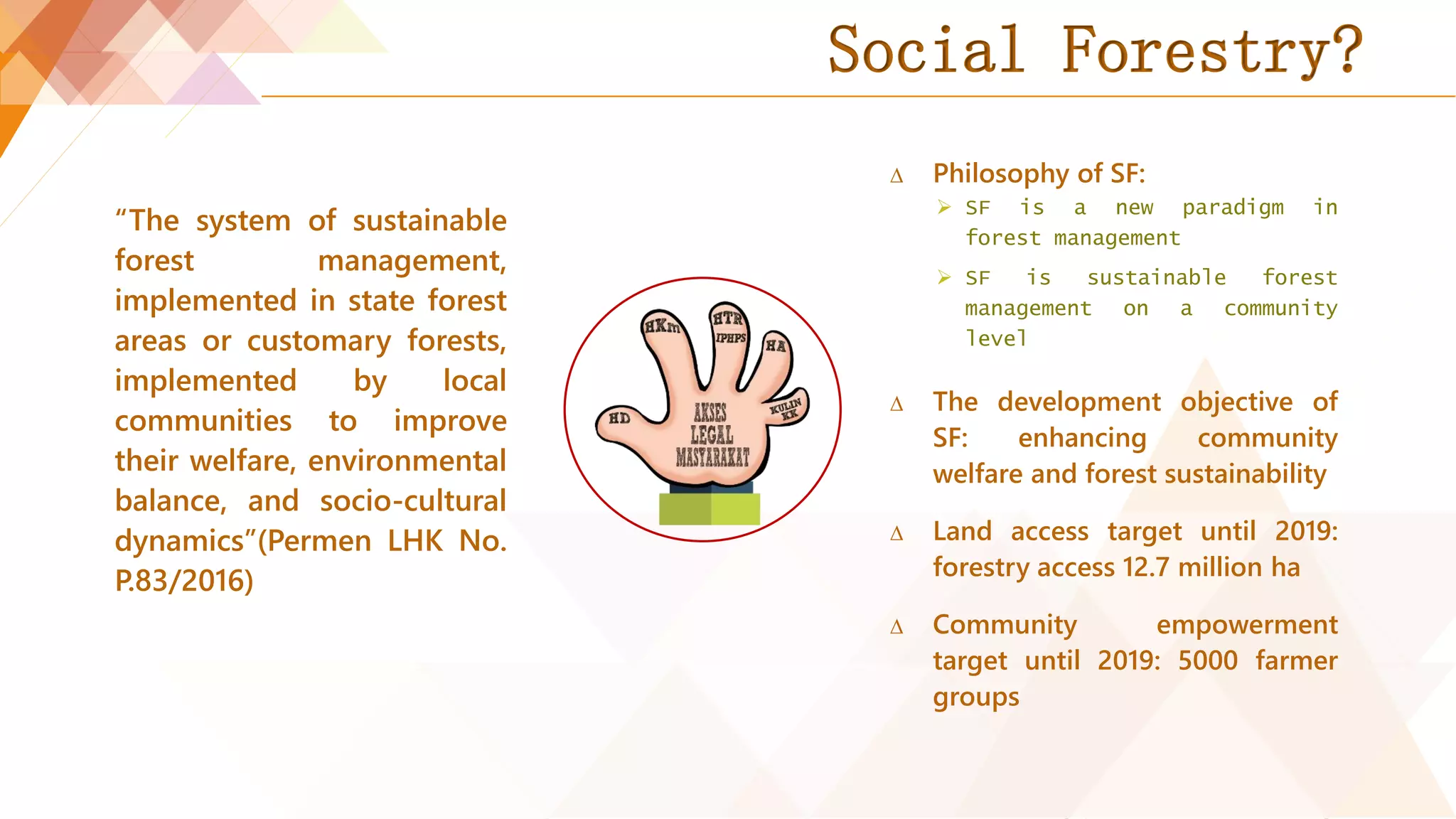 Social Forestry in Indonesia | PDF