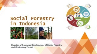 Social Forestry
in Indonesia
Director of Business Development of Social Forestry
and Costumary Forest
 