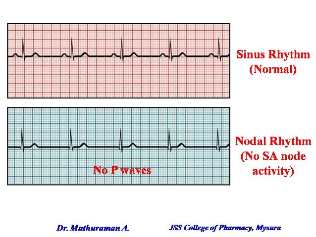 1.1 introduction of haemodynamics and electrophysiology of heart