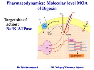 1.2 congestive heart failure