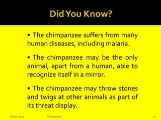 • The chimpanzee suffers from many
human diseases, including malaria.
• The chimpanzee may be the only
animal, apart from a human, able to
recognize itself in a mirror.
• The chimpanzee may throw stones
and twigs at other animals as part of
its threat display.
28-Dec-2015 Chimpanzee 11
 