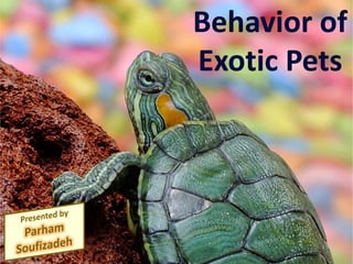 Behavior of
Exotic Pets
 
