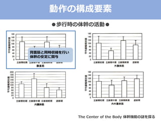 ΘҪ
iЕr֤λӡ
ͬrsФ
֤ΰv
The Center of the Body ֙Cܤi̽
 