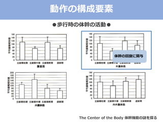 ΘҪ
iЕr֤λӡ
֤λv
The Center of the Body ֙Cܤi̽
 
