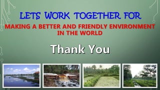 Indonesia policy on peatland protection and management 