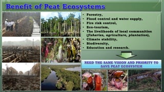 • Forestry,
• Flood control and water supply,
• Fire risk control,
• Eco-tourism,
• The livelihoods of local communities
(...