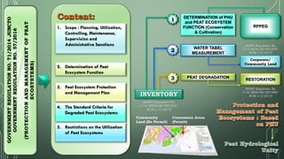 Indonesia policy on peatland protection and management 