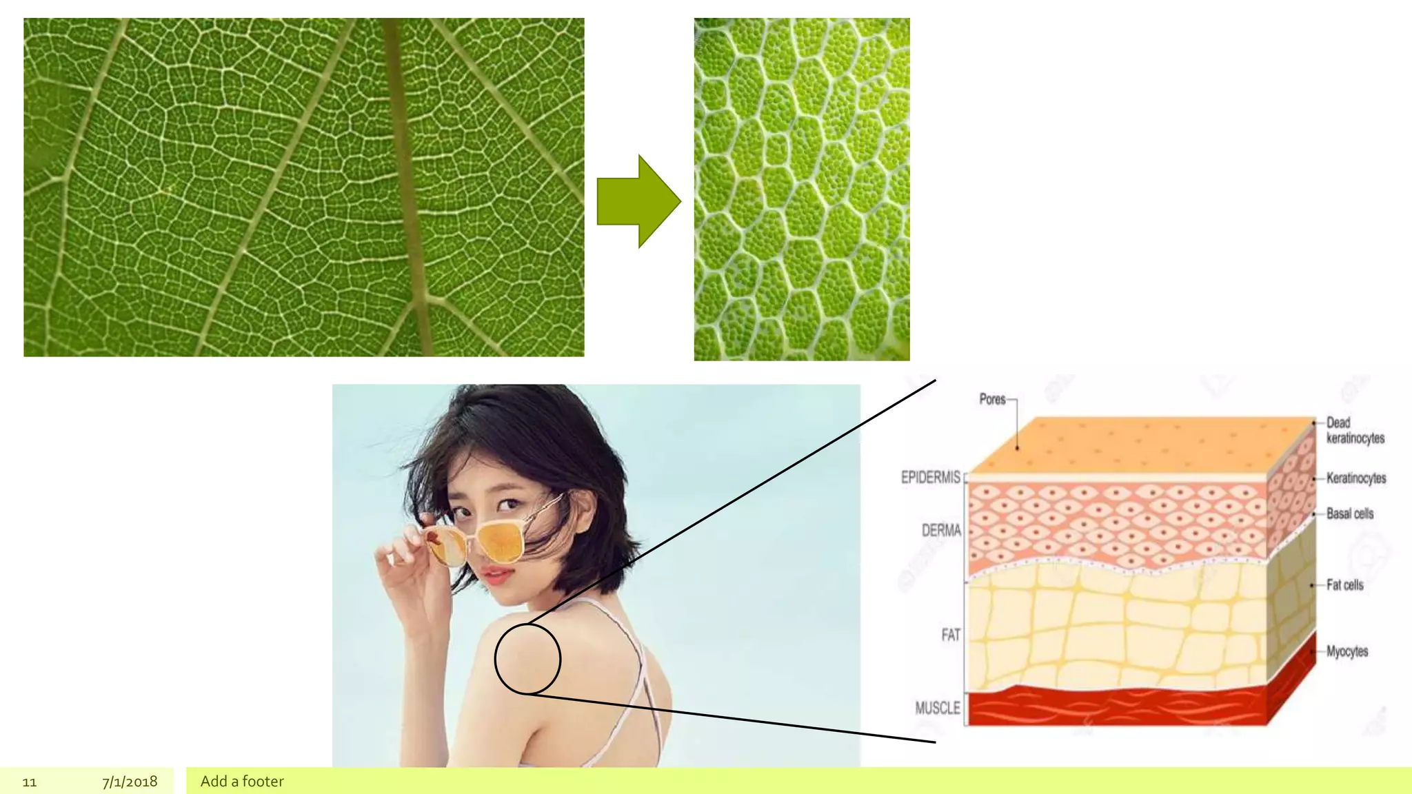 11 7/1/2018 Add a footer
 