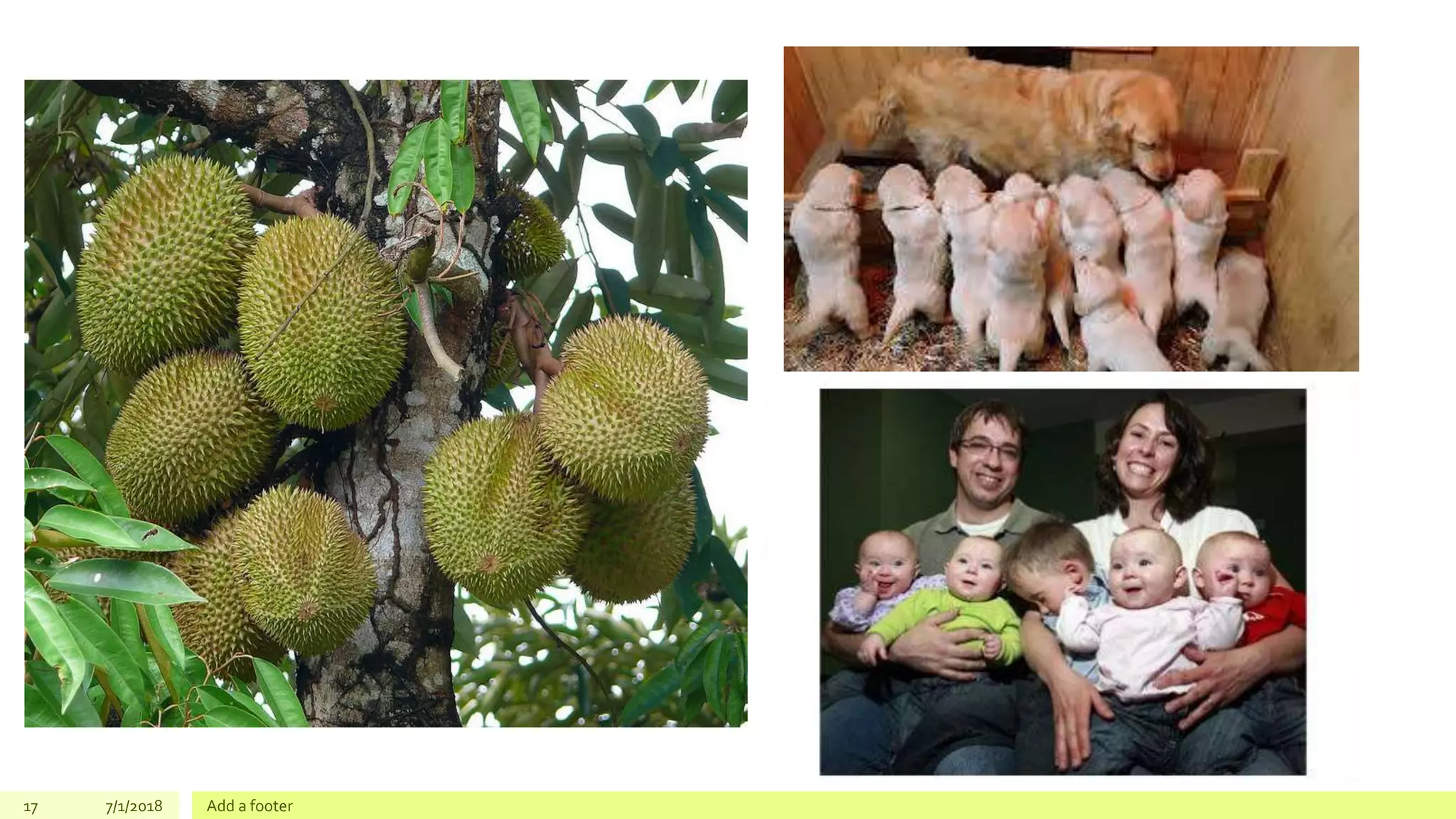 17 7/1/2018 Add a footer
 