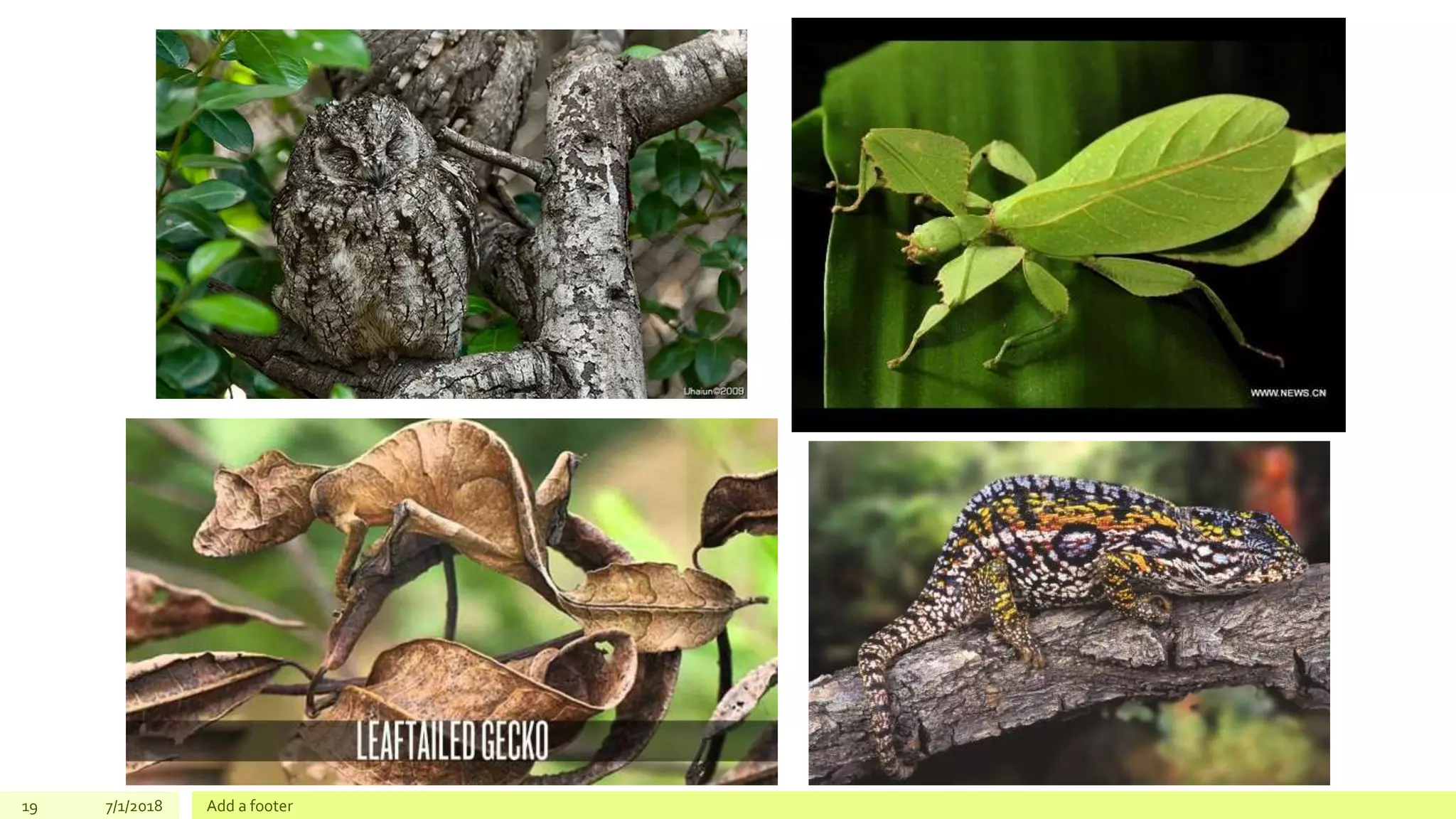 19 7/1/2018 Add a footer
 