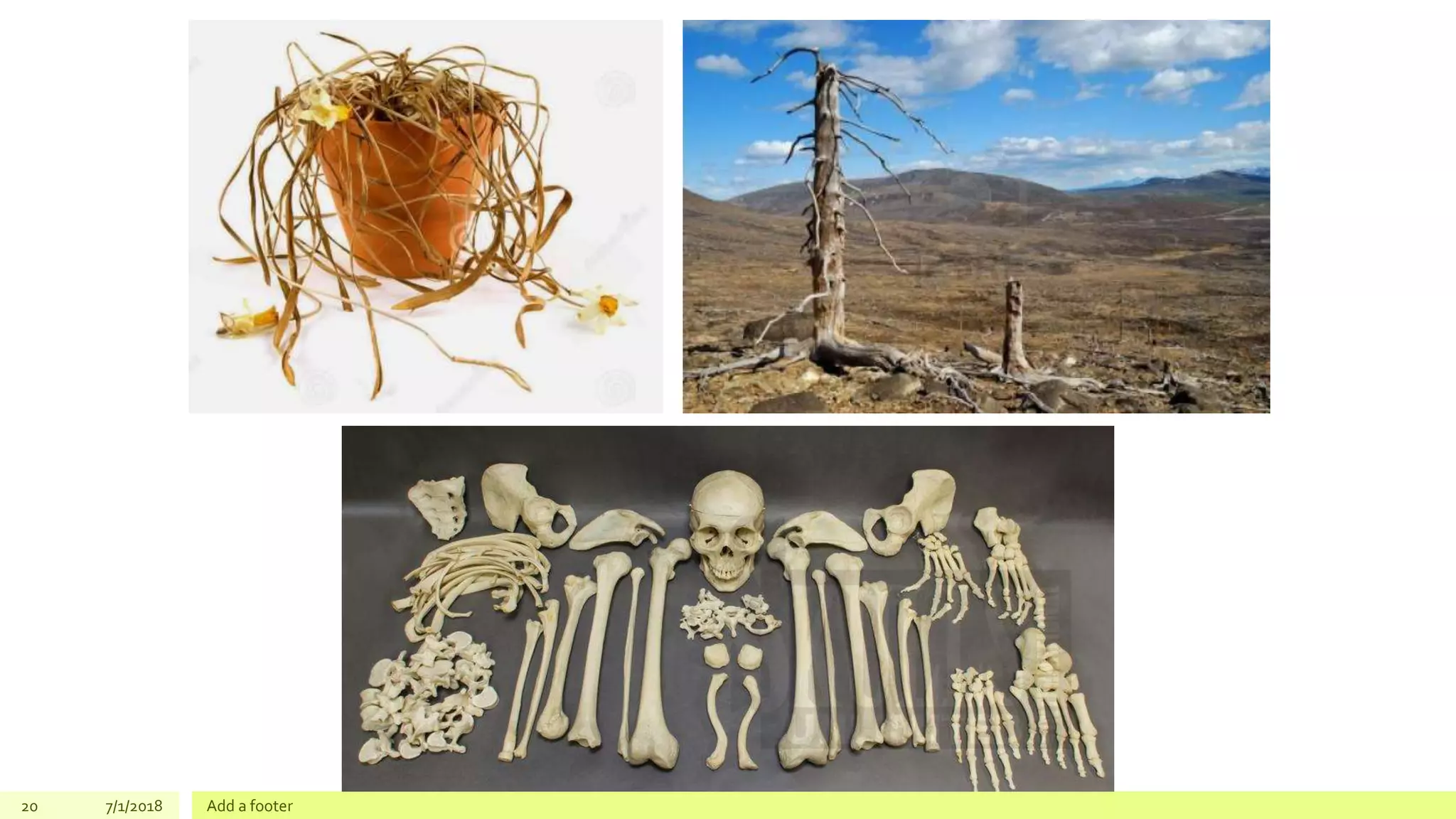 20 7/1/2018 Add a footer
 