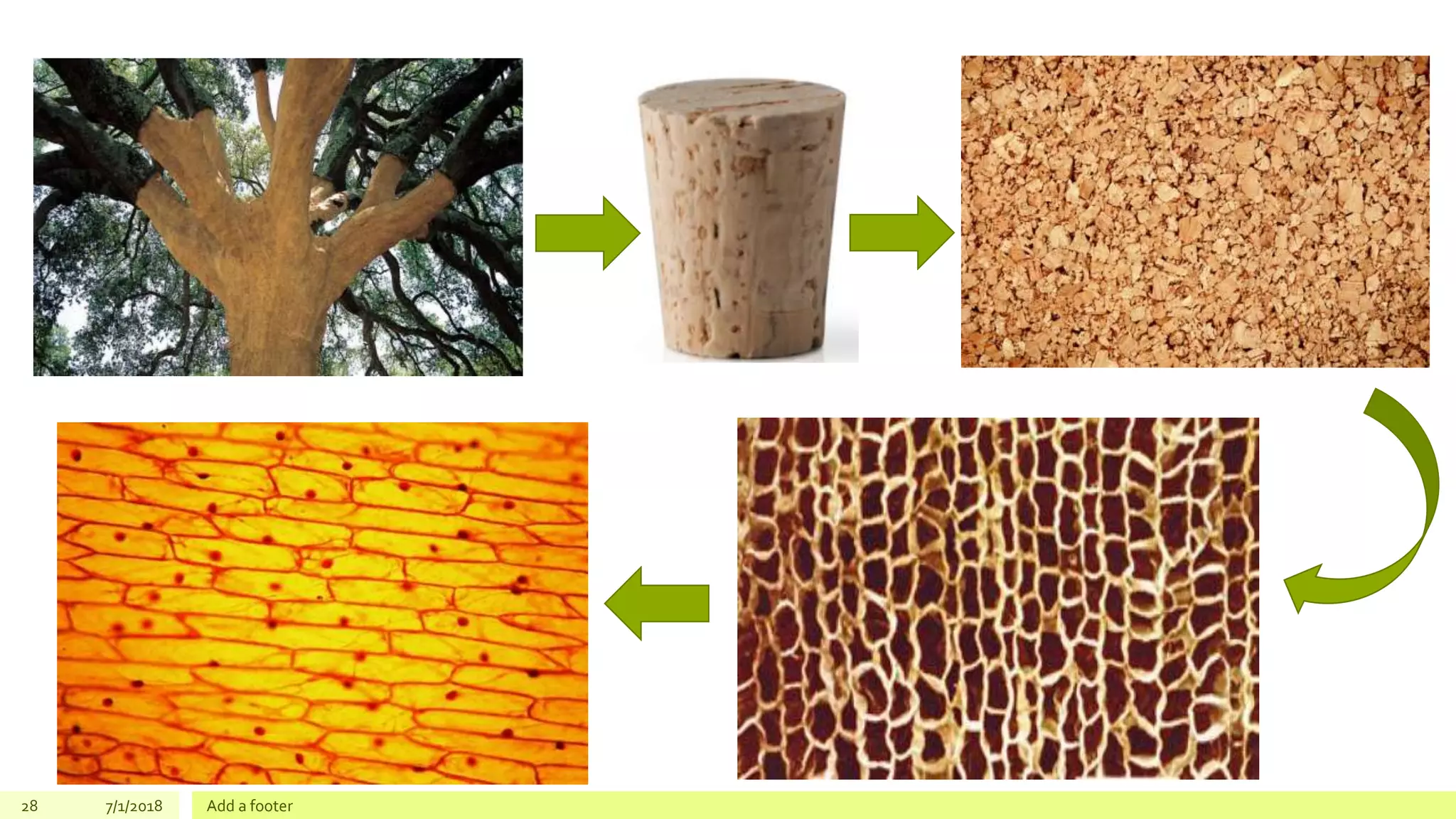 28 7/1/2018 Add a footer
 