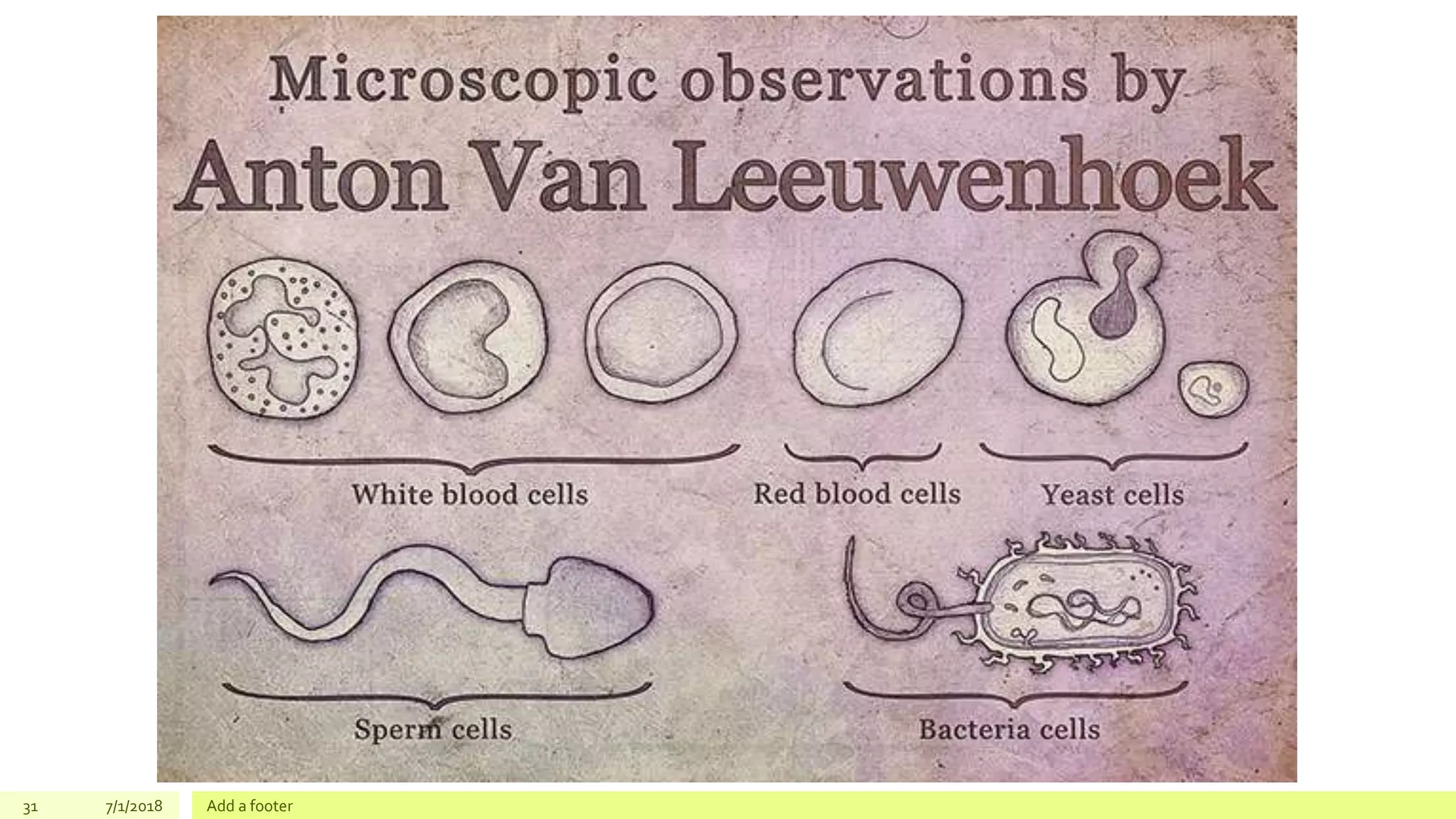 31 7/1/2018 Add a footer
 