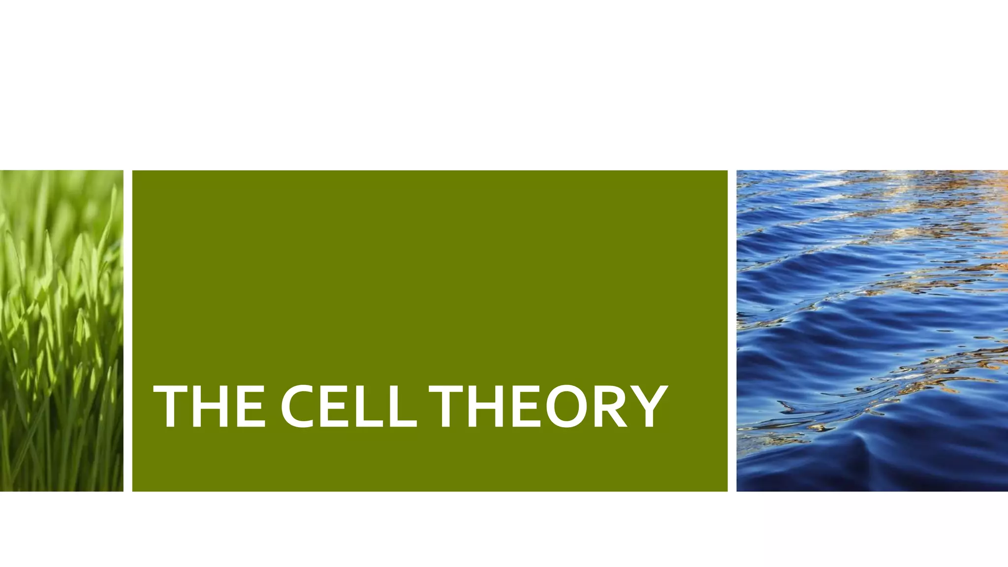 THE CELLTHEORY
 
