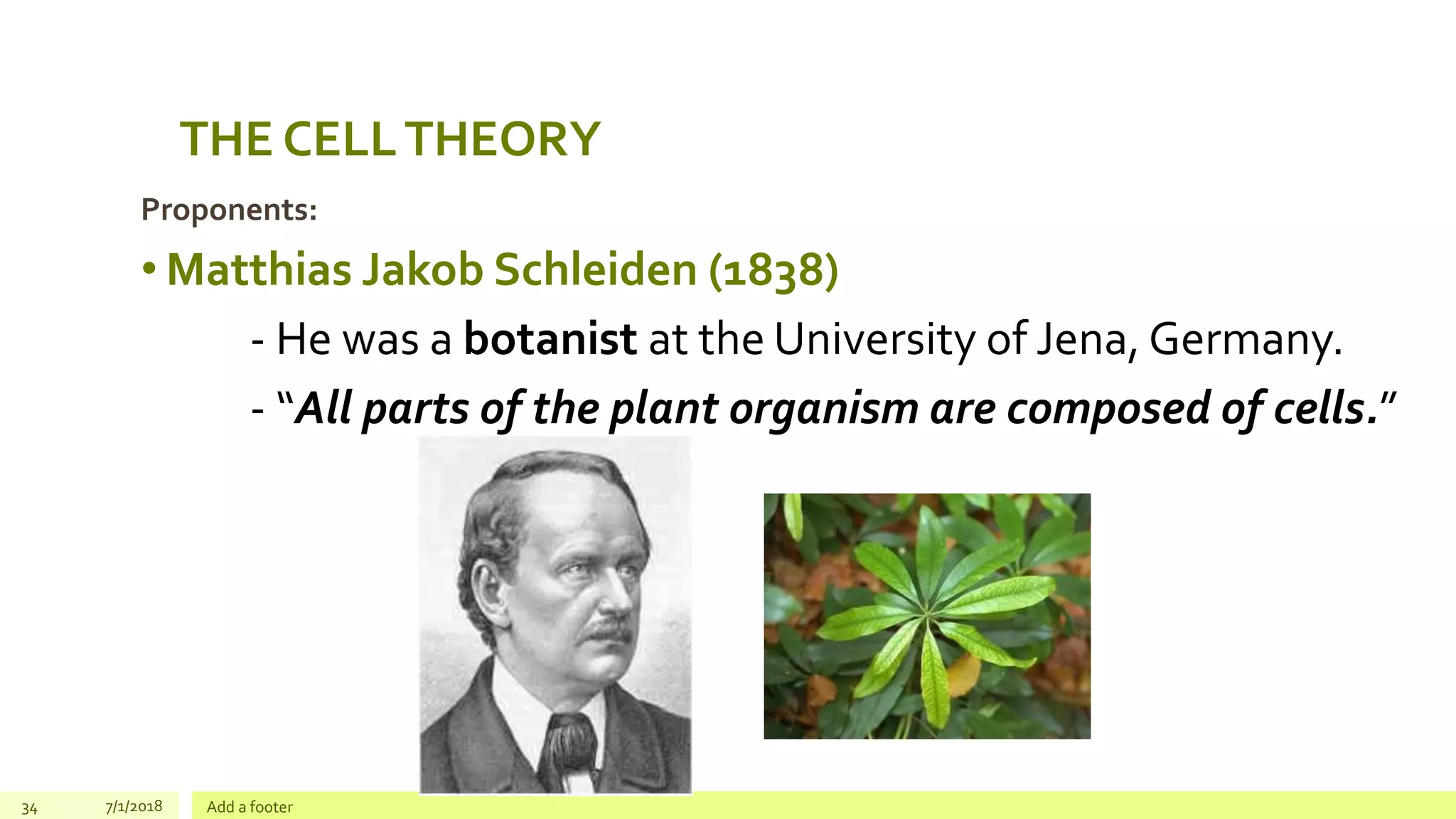 Proponents:
• Matthias Jakob Schleiden (1838)
- He was a botanist at the University of Jena, Germany.
- “All parts of the plant organism are composed of cells.”
THE CELLTHEORY
34 7/1/2018 Add a footer
 
