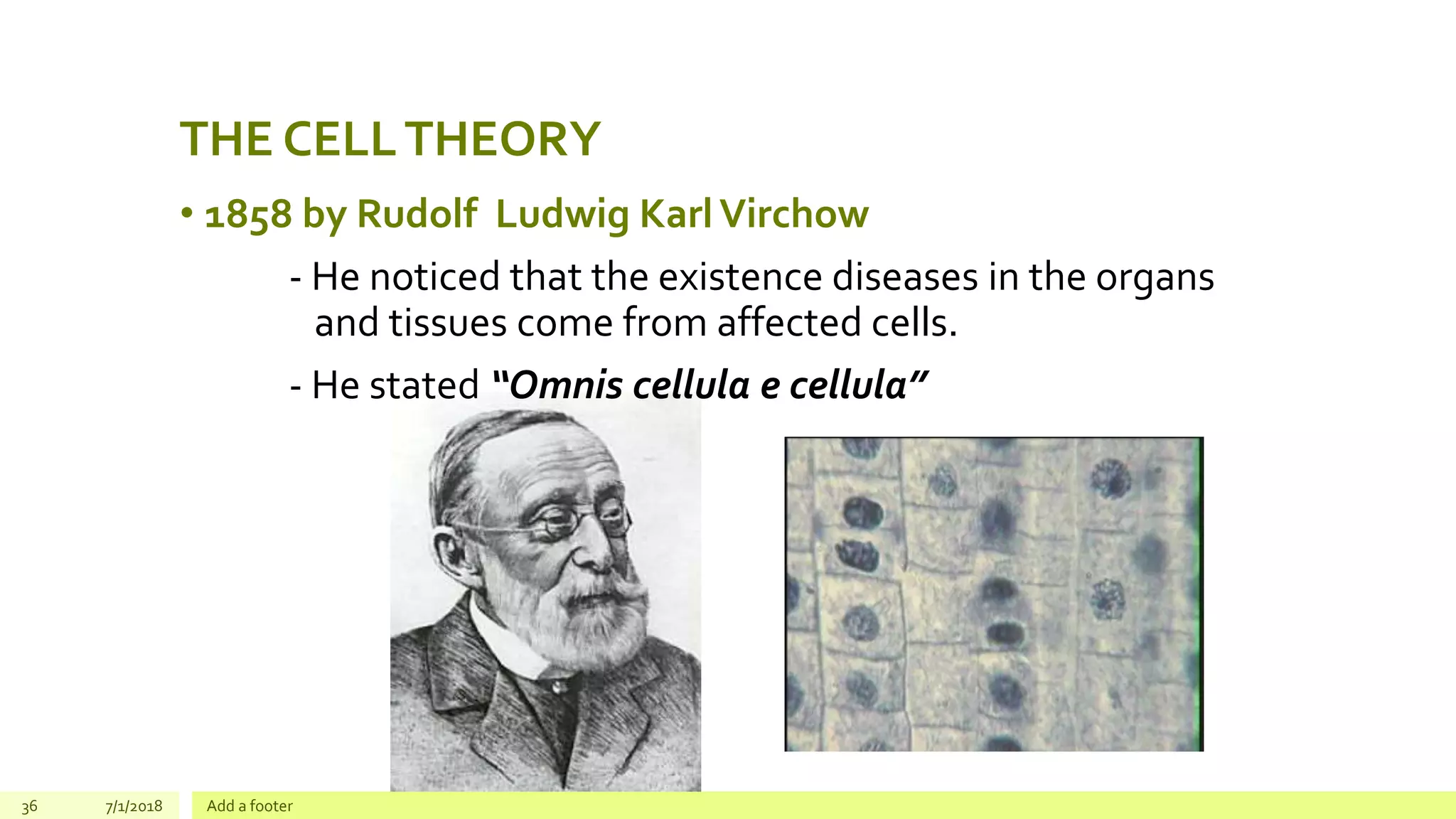 THE CELLTHEORY
• 1858 by Rudolf Ludwig KarlVirchow
- He noticed that the existence diseases in the organs
and tissues come from affected cells.
- He stated “Omnis cellula e cellula”
36 7/1/2018 Add a footer
 