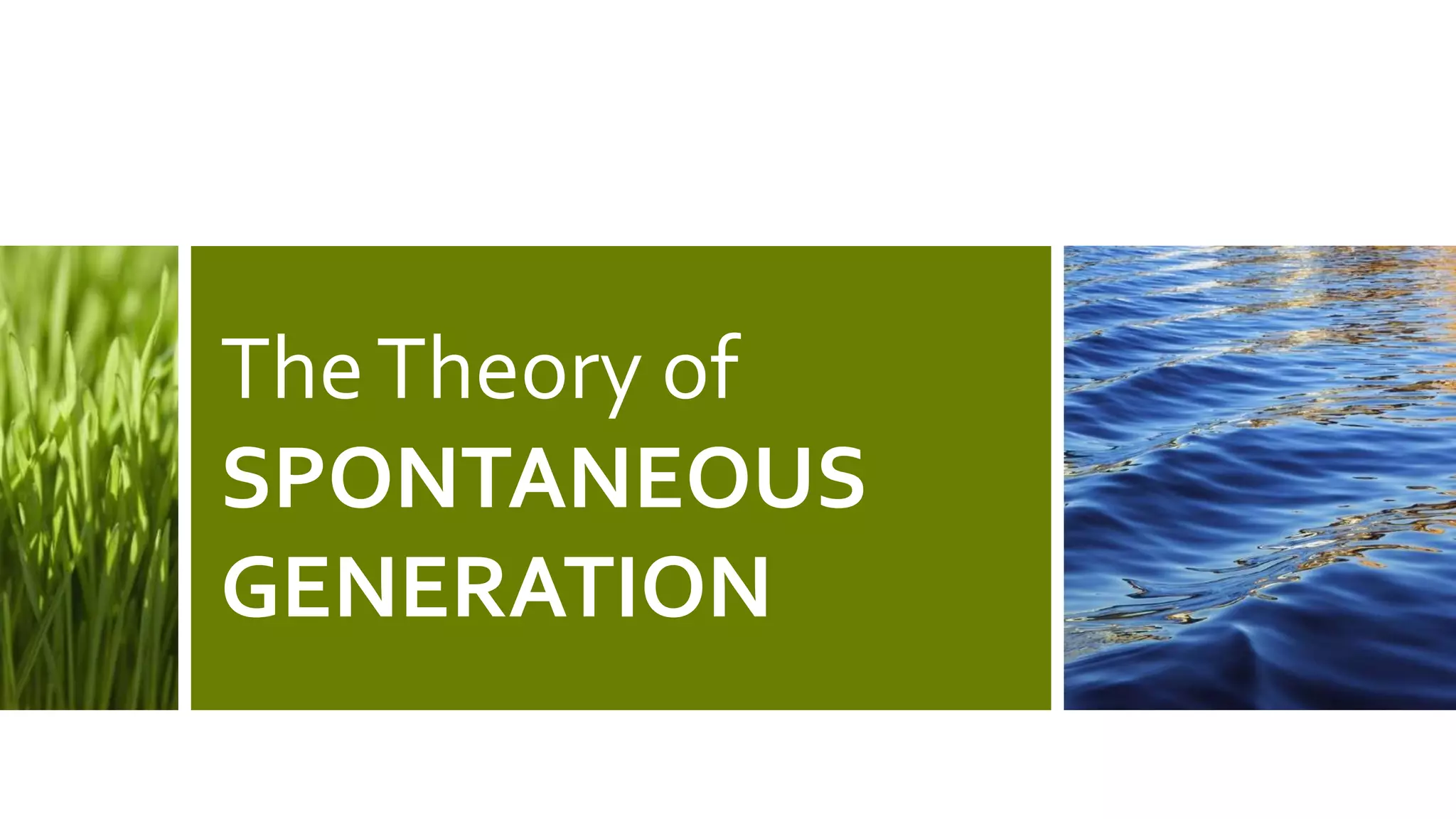 TheTheory of
SPONTANEOUS
GENERATION
 