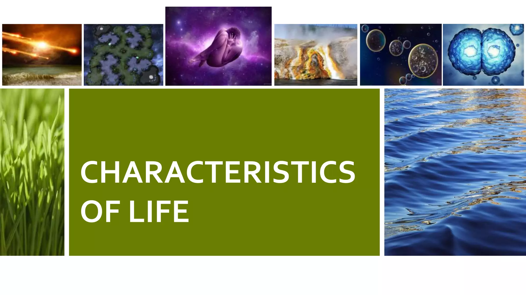 CHARACTERISTICS
OF LIFE
 