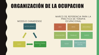 ORGANIZACIÓN DE LA OCUPACION
MODELO CANADIENSE
AUTOCUIDADO
PRODUCTIVIDA
D
OCIO
MARCO DE REFERENCIA PARA L A
PRACTICA DE TERAPIA
OCUPACIONAL
AVD AIVD DESCANSO
EDUCACIÓN TRABAJO JUEGO
OCIO
PARTICIPACIÓN
SOCIAL
 