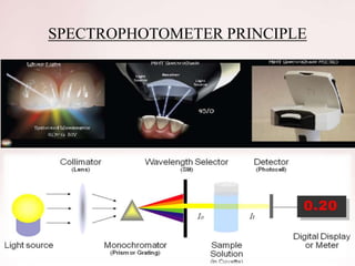 SPECTROPHOTOMETER PRINCIPLE
 
