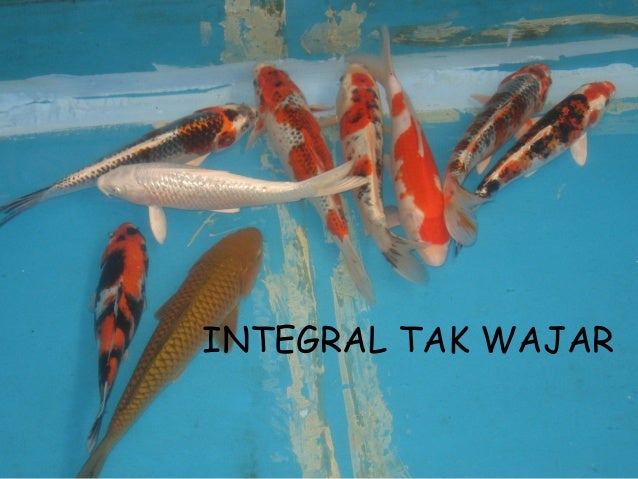 18++ Contoh Soal Integral Tak Wajar Dan Jawabannya ...
