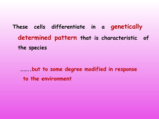 These cells differentiate in a genetically
determined pattern that is characteristic of
the species
……..but to some degree modified in response
to the environment
 