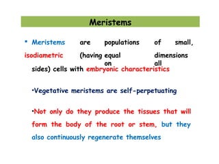  Meristems
isodiametric
are populations of small,
(having equal dimensions
on all
sides) cells with embryonic characteristics
•Vegetative meristems are self-perpetuating
•Not only do they produce the tissues that will
form the body of the root or stem, but they
also continuously regenerate themselves
Meristems
 