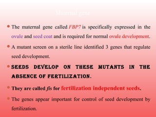 Maternal gene
The maternal gene called FBP7 is specifically expressed in the
ovule and seed coat and is required for normal ovule development.
A mutant screen on a sterile line identified 3 genes that regulate
seed development.
SeedS develop on theSe mutantS in the
abSence of fertilization.
They are called fis for fertilization independent seeds.
The genes appear important for control of seed development by
fertilization.
 