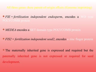 All three genes show parent-of-origin effects (Genome imprinting)
FIE = fertilization independent endosperm, encodes a WD type
POLYCOMB protein
MEDEA encodes a SET domain type POLYCOMB protein
FIS2 = fertilization independent seed2, encodes a zinc finger protein
The maternally inherited gene is expressed and required but the
paternally inherited gene is not expressed or required for seed
development.
 