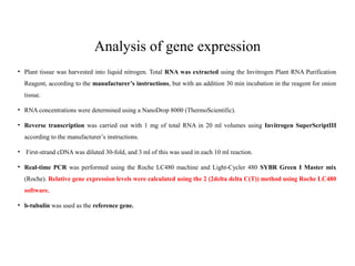 Analysis of gene expression
• Plant tissue was harvested into liquid nitrogen. Total RNA was extracted using the Invitrogen Plant RNA Purification
Reagent, according to the manufacturer’s instructions, but with an addition 30 min incubation in the reagent for onion
tissue.
• RNA concentrations were determined using a NanoDrop 8000 (ThermoScientific).
• Reverse transcription was carried out with 1 mg of total RNA in 20 ml volumes using Invitrogen SuperScriptIII
according to the manufacturer’s instructions.
• First-strand cDNA was diluted 30-fold, and 3 ml of this was used in each 10 ml reaction.
• Real-time PCR was performed using the Roche LC480 machine and Light-Cycler 480 SYBR Green I Master mix
(Roche). Relative gene expression levels were calculated using the 2 (2delta delta C(T)) method using Roche LC480
software.
• b-tubulin was used as the reference gene.
 