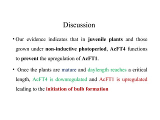 Discussion
• Our evidence indicates that in juvenile plants and those
grown under non-inductive photoperiod, AcFT4 functions
to prevent the upregulation of AcFT1.
• Once the plants are mature and daylength reaches a critical
length, AcFT4 is downregulated and AcFT1 is upregulated
leading to the initiation of bulb formation
 