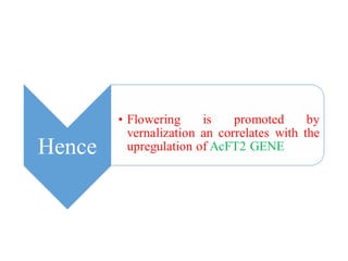 MOLECULAR AND GENETIC APPROACHES IN PLANT GROWTH AND DEVELOPMENT