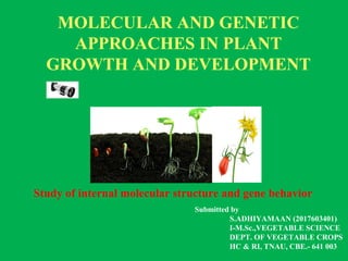 MOLECULAR AND GENETIC
APPROACHES IN PLANT
GROWTH AND DEVELOPMENT
Study of internal molecular structure and gene behavior
Submitted by
S.ADHIYAMAAN (2017603401)
I-M.Sc.,VEGETABLE SCIENCE
DEPT. OF VEGETABLE CROPS
HC & RI, TNAU, CBE.- 641 003
 