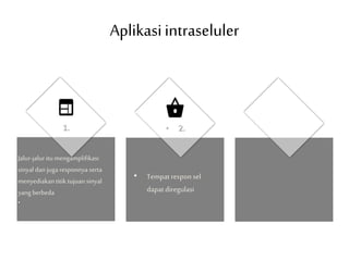 Aplikasiintraseluler
Jalur-jaluritu mengamplifikasi
sinyal dan juga responnya serta
menyediakantitik tujuansinyal
yangberbeda
•
• 2.
• Tempatresponsel
dapatdiregulasi
1.
 