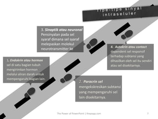 The Power of PowerPoint | thepopp.com 7
1. Endokrin atau hormon
sel di satu bagian tubuh
mengirimkan hormon
melalui aliran darah untuk
mempengaruhi bagian lain.
2. Paracrin sel
mengekskresikan subtansi
yang mempengaruhi sel
lain disekitarnya.
4. Autokrin atau contact
dependent sel responsif
terhadap subtansi yang
dihasilkan oleh sel itu sendiri
atau sel disekitarnya.
3. Sinaptik atau neuronal
Pensinyalan pada sel
syaraf dimana sel syaraf
melepaskan molekul
neurotransmitter ke
sinapsis
 