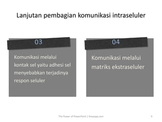Lanjutan pembagian komunikasi intraseluler
The Power of PowerPoint | thepopp.com 9
Komunikasi melalui
kontak sel yaitu adhesi sel
menyebabkan terjadinya
respon seluler
Komunikasi melalui
matriks ekstraseluler
 