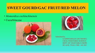 SWEET GOURD/GAC FRUIT/RED MELON
• Momordica cochinchinensis
• Cucurbitaceae
Submitted by
S.ADHIYAMAAN (2017603401)
I-M.Sc.VEGETABLE SCIENCE
DEPT. OF VEGETABLE CROPS
HC & RI, TNAU, CBE.- 641 003
 