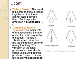 1. speech organs and their role | PPTX