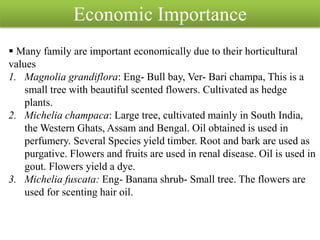 Economic Importance
 Many family are important economically due to their horticultural
values
1. Magnolia grandiflora: Eng- Bull bay, Ver- Bari champa, This is a
small tree with beautiful scented flowers. Cultivated as hedge
plants.
2. Michelia champaca: Large tree, cultivated mainly in South India,
the Western Ghats, Assam and Bengal. Oil obtained is used in
perfumery. Several Species yield timber. Root and bark are used as
purgative. Flowers and fruits are used in renal disease. Oil is used in
gout. Flowers yield a dye.
3. Michelia fuscata: Eng- Banana shrub- Small tree. The flowers are
used for scenting hair oil.
 