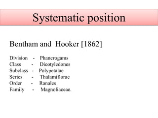 Systematic position
Bentham and Hooker [1862]
Division - Phanerogams
Class - Dicotyledones
Subclass - Polypetalae
Series - Thalamiflorae
Order - Ranales
Family - Magnoliaceae.
 