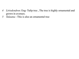 4 Liriodendron: Eng- Tulip tree , The tree is highly ornamental and
grown in avenues.
5 Talauma : This is also an ornamental tree
 
