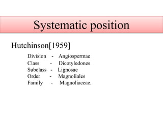 Systematic position
Hutchinson[1959]
Division - Angiospermae
Class - Dicotyledones
Subclass - Lignosae
Order - Magnoliales
Family - Magnoliaceae.
 