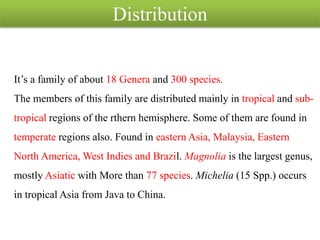 Distribution
It’s a family of about 18 Genera and 300 species.
The members of this family are distributed mainly in tropical and sub-
tropical regions of the rthern hemisphere. Some of them are found in
temperate regions also. Found in eastern Asia, Malaysia, Eastern
North America, West Indies and Brazil. Magnolia is the largest genus,
mostly Asiatic with More than 77 species. Michelia (15 Spp.) occurs
in tropical Asia from Java to China.
 