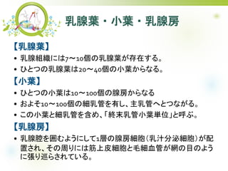 ~?С~?ٷ
~
? ٽMˤ710~ڤ롣
? ҤȤĤ~2040С~ʤ롣
С~
? ҤȤĤС~10100ٷʤ
? 褽10100μܤФܤؤȤĤʤ롣
? С~ȼܤ򺬤ᡢKĩС~gλȺ֡
ٷ
? ǻ褦ˤ1Ӥٷ֭ڼ
ä졢ܤˤϽƤëѪܤWĿΤ褦
ˏѲ餵Ƥ롣
 