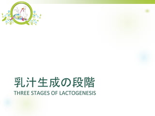 ֭ɤζA
THREE STAGES OF LACTOGENESIS
 